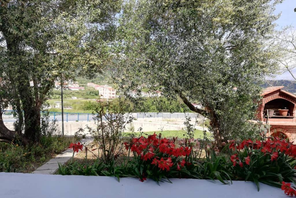 Vila Ribaric Banjol Exteriér fotografie