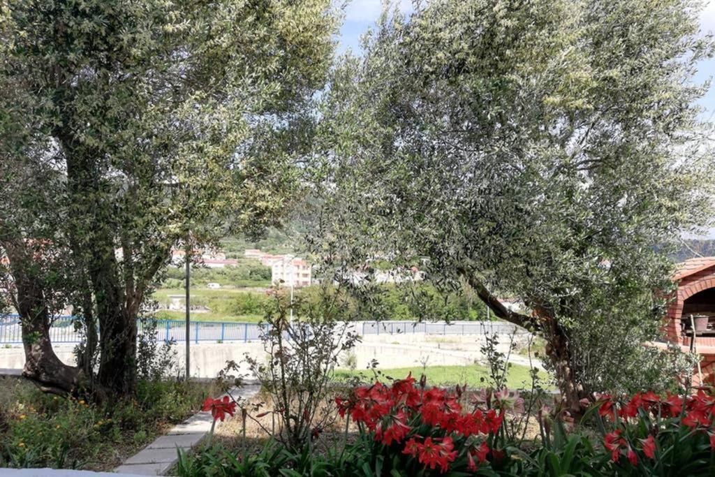 Vila Ribaric Banjol Exteriér fotografie