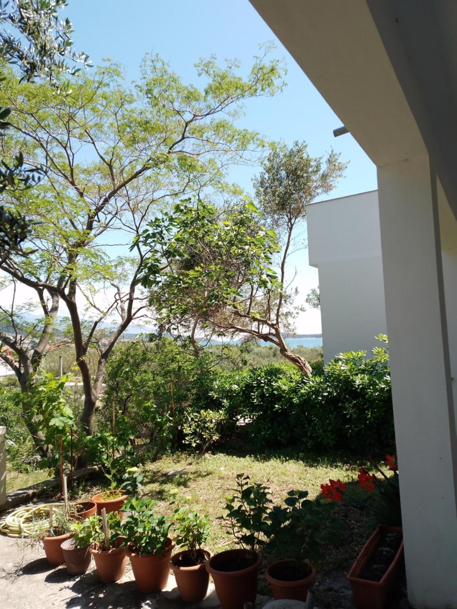 Vila Ribaric Banjol Exteriér fotografie